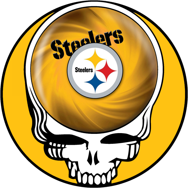 Pittsburgh Steelers skull logo DIY iron on transfer (heat transfer)